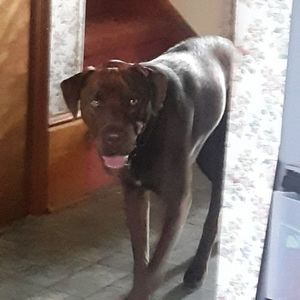 Meet your Posher, Susan